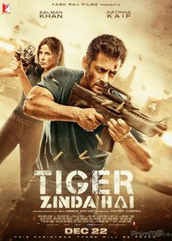 Xem Phim Điệp Viên Tiger 2 (Tiger Zinda Hai 2)