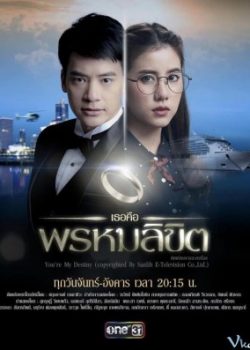 Xem Phim Định Mệnh Anh Yêu Em (You're My Destiny)