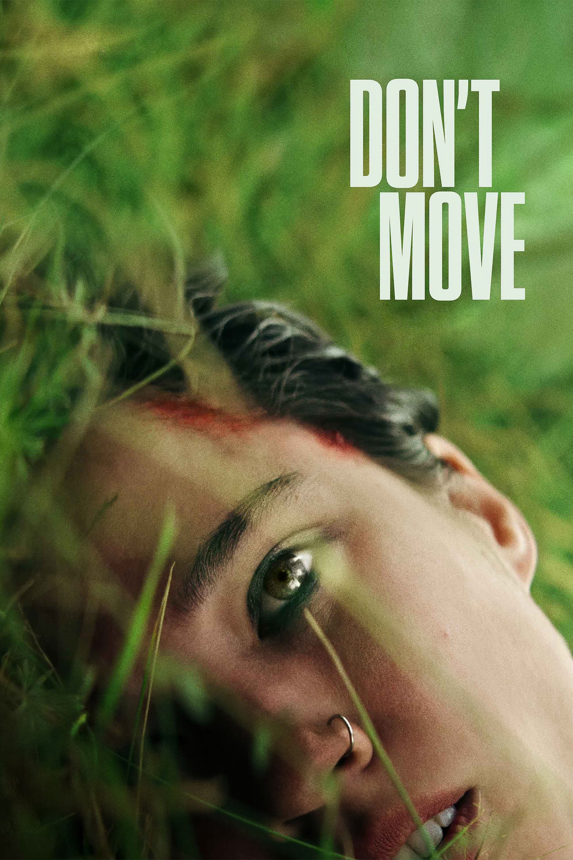 Poster Phim Don't Move (Don't Move)