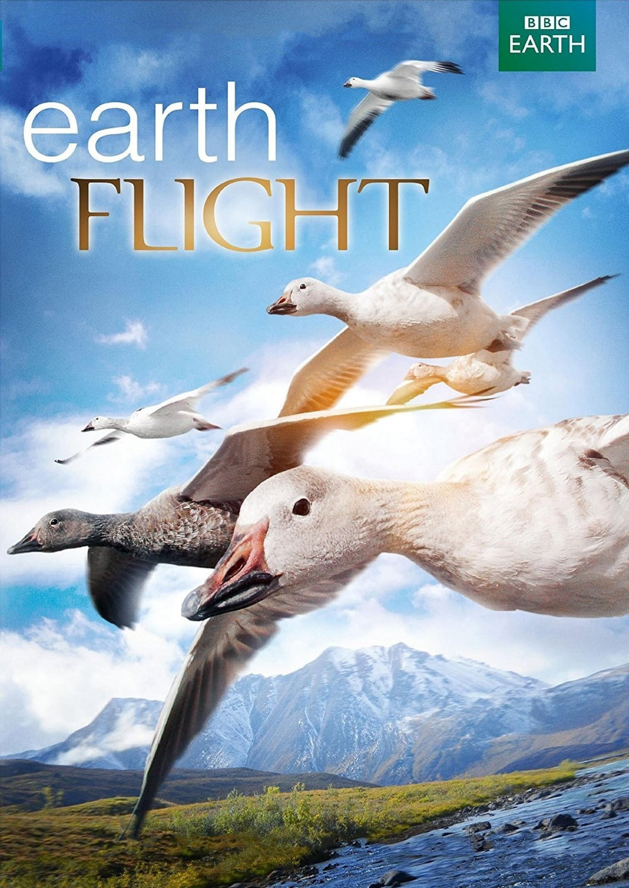 Xem Phim Earthflight (Earthflight)