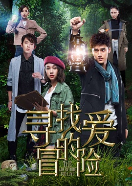 Poster Phim Hạnh Phúc Bên Nhau (The Adventure For Love)