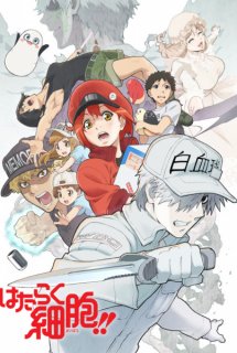 Xem Phim Hataraku Saibou!! (Cells at Work!!, Cells at Work! 2nd Season, Hataraku Saibou 2nd Season)