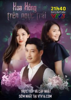 Poster Phim Hoa Hồng Trên Ngực Trái (Hoa Hồng Trên Ngực Trái)