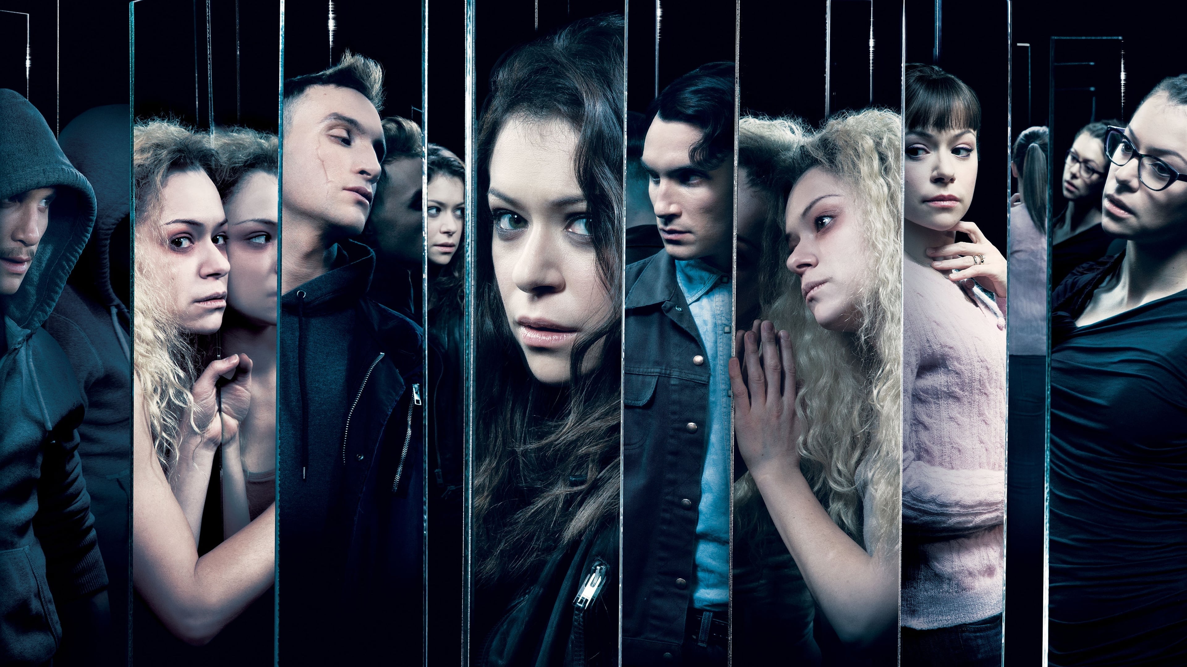 Xem Phim Hoán vị Phần 3 (Orphan Black Season 3)