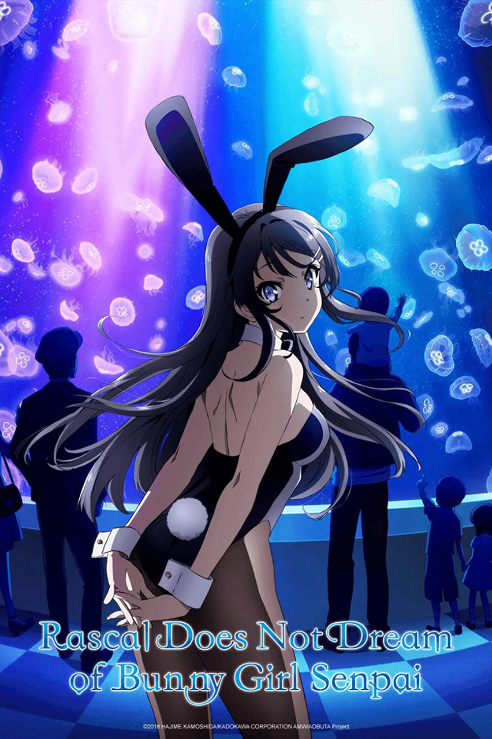 Xem Phim Hội chứng tuổi teen và cô gái có đôi tai thỏ (Rascal Does Not Dream of Bunny Girl Senpai)