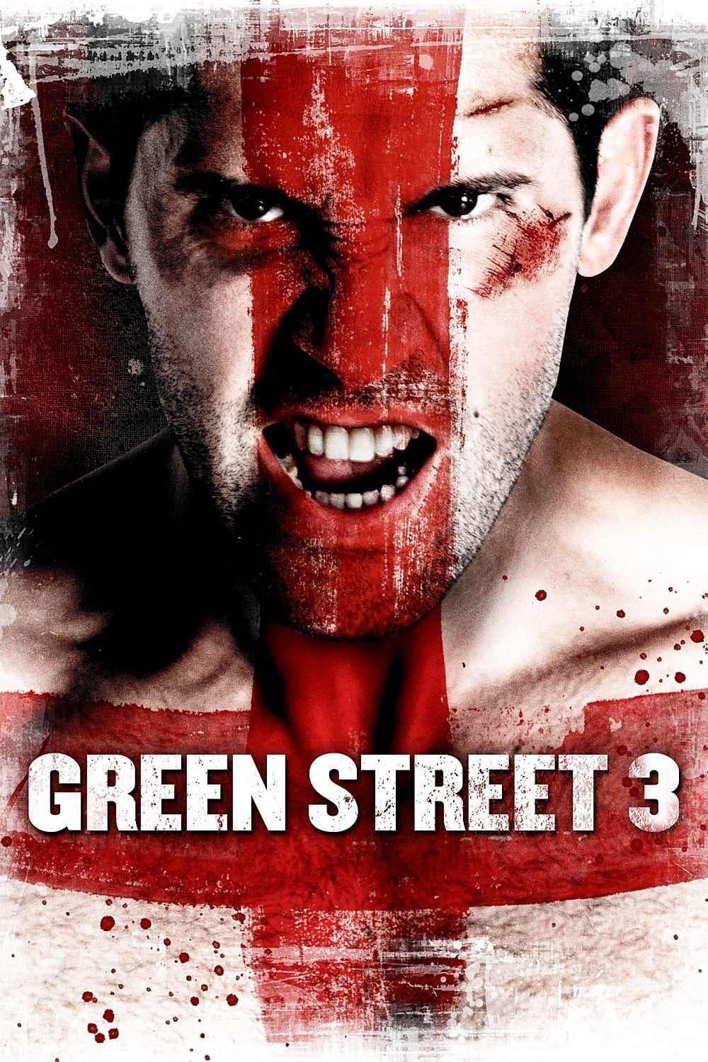 Xem Phim Không Chùn Bước 3 (Green Street 3: Never Back Down)