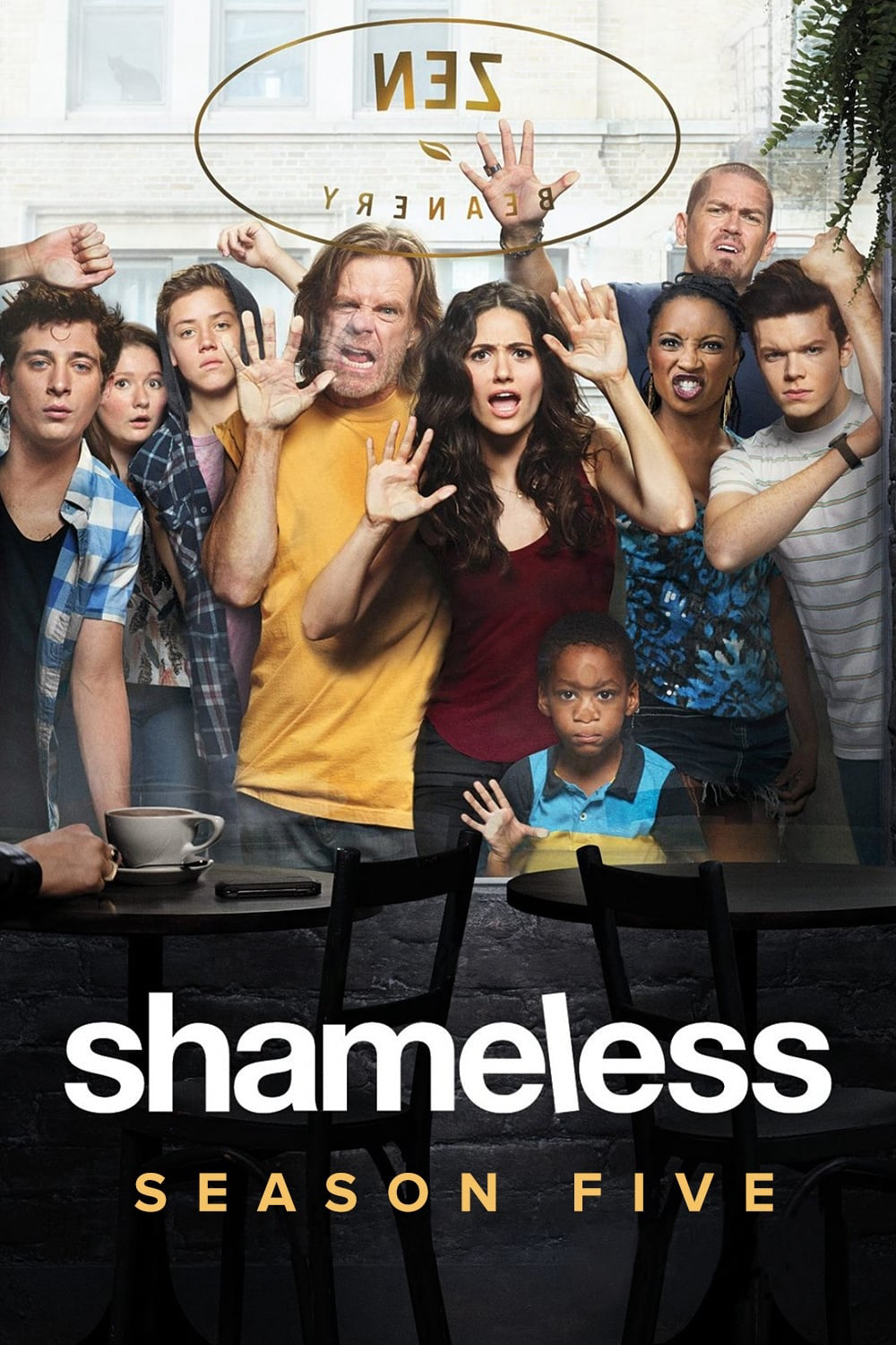 Poster Phim Mặt Dày (Phần 5) (Shameless (Season 5))