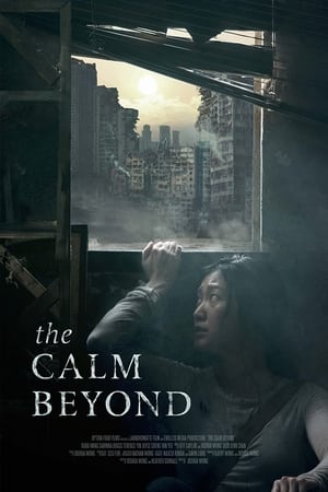 Poster Phim Ngoài Vòng Tĩnh Lặng (The Calm Beyond)