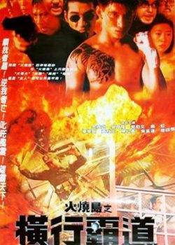 Poster Phim Ngục Tù Nổi Loạn (The Jail In Burning Island)