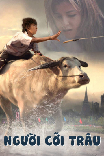 Xem Phim Người Cỡi Trâu (Buffalo Rider)