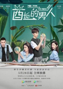 Poster Phim Người Đàn Ông Của Tù Trưởng (Mr. Fox and Miss Rose)