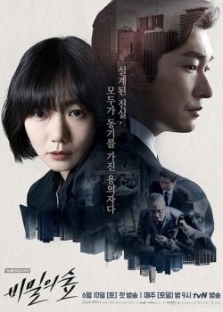 Poster Phim Người Lạ / Khu Rừng Bí Mật (Stranger / Secret Forest)