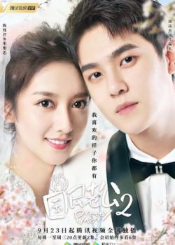 Xem Phim Ông Chồng Quốc Dân Phần 2 (Pretty Man 2)