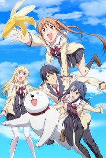 Xem Phim Aho Girl (AHO-GIRL, Ahogaru: Clueless Girl, Dummy Girl, Cô nàng ngốc nghếch)