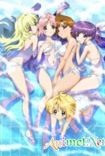 Xem Phim Girls Bravo: Mùa 2 (Girls Bravo: Second Season)