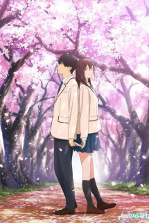 Poster Phim Kimi no Suizou wo Tabetai (I want to eat your pancreas, KimiSui, Let Me Eat Your Pancreas, Tớ muốn ăn tụy của cậu)