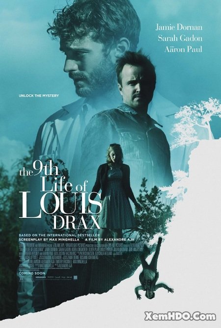 Poster Phim Bệnh Nhân Bí Ẩn (The 9th Life Of Louis Drax)