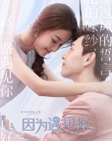 Poster Phim Bởi Vì Gặp Được Em (Because Of You)