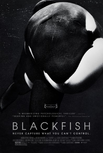 Poster Phim Cá Đen (Blackfish)