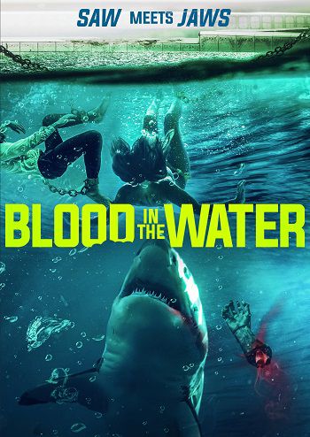 Xem Phim Cá Mập Dưới Nước (Blood In The Water)