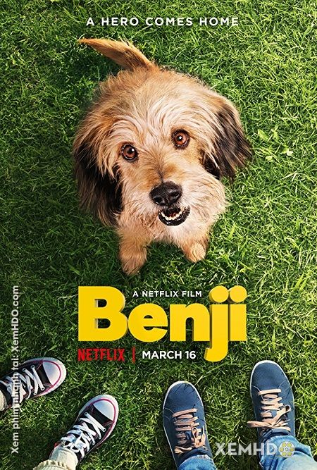 Xem Phim Chú Chó Dũng Cảm (Benji)