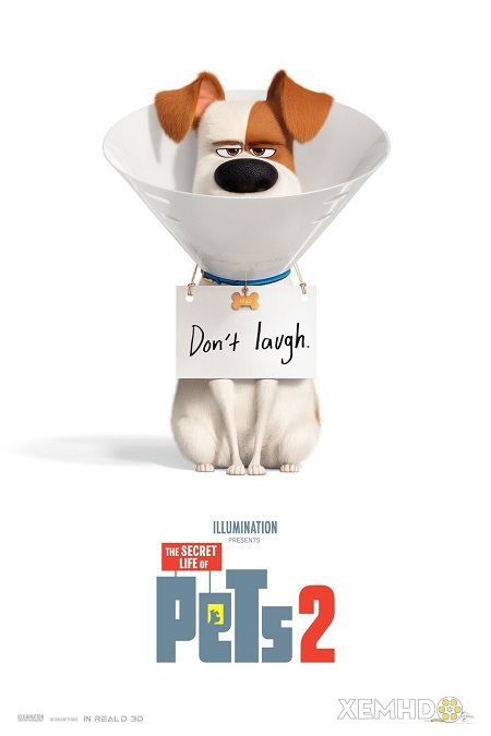 Xem Phim Đẳng Cấp Thú Cưng 2 (The Secret Life Of Pets 2)