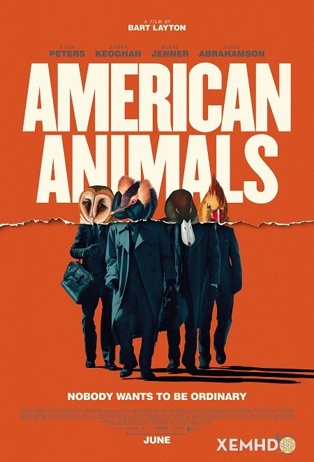 Xem Phim Đồ Quỷ Mỹ (American Animals)