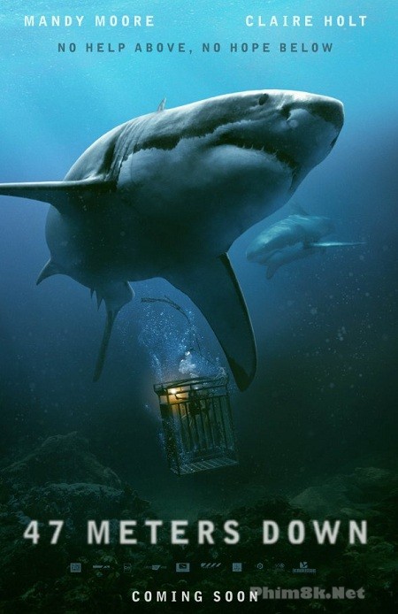 Xem Phim Độ Sâu 47 Mét / Dưới Đáy Đại Dương (47 Meters Down / In The Deep)