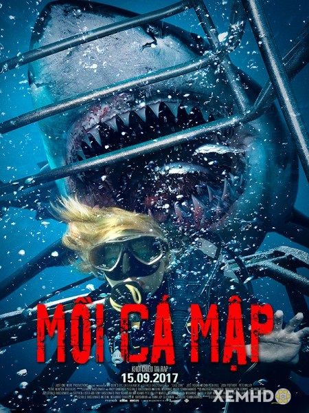 Xem Phim Mồi Cá Mập (Shark Terror)