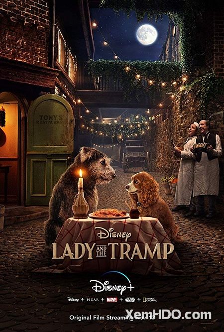 Xem Phim Tiểu Thư Và Chàng Lang Thang (Lady And The Tramp)