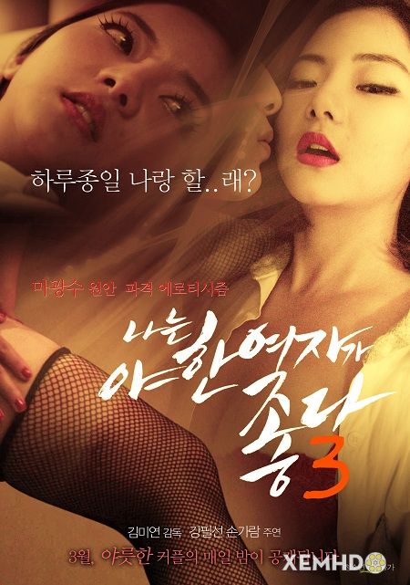 Poster Phim Tôi Thích Những Cô Gái Hấp Dẫn 3 (I Like Sexy Women 3)