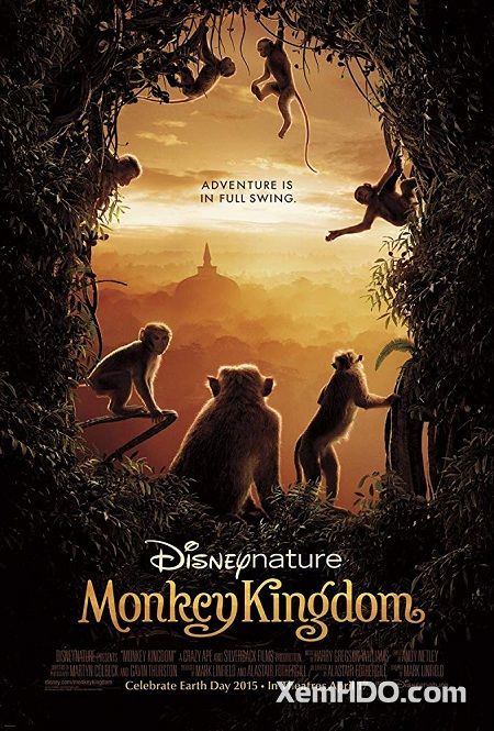 Poster Phim Vương Quốc Loài Khỉ (Monkey Kingdom)