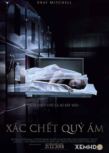 Poster Phim Xác Chết Quỷ Ám (The Possession Of Hannah Grace)