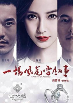 Xem Phim Phong Hoa Tuyết Nguyệt (Crimes of Passion A Sentimental Story)