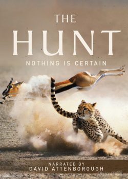 Xem Phim Săn Mồi (The Hunt BBC)