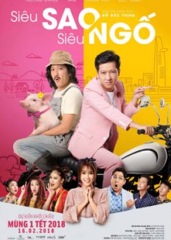 Poster Phim Siêu Sao Siêu Ngố (Siêu Sao Siêu Ngố)