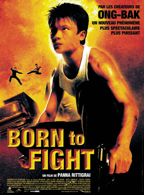 Xem Phim Sinh Ra Để Chiến Đấu (Born to Fight)