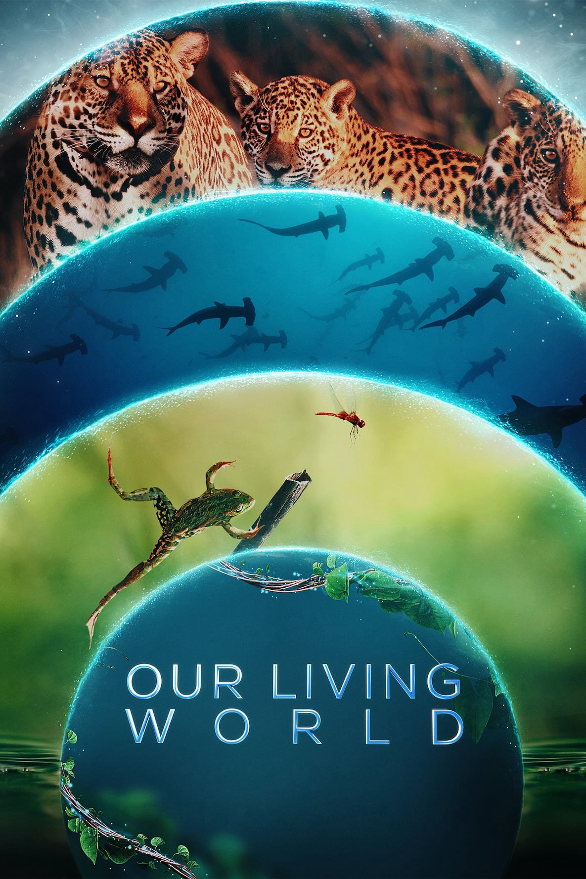 Xem Phim Thế giới sống của chúng ta (Our Living World)