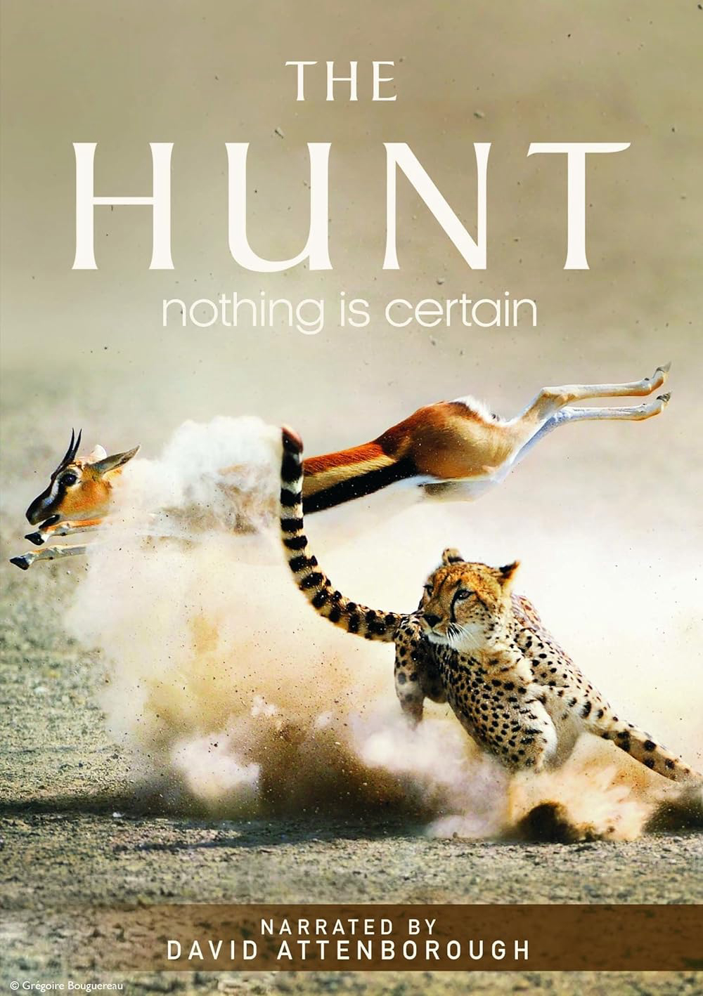 Xem Phim The Hunt (The Hunt)