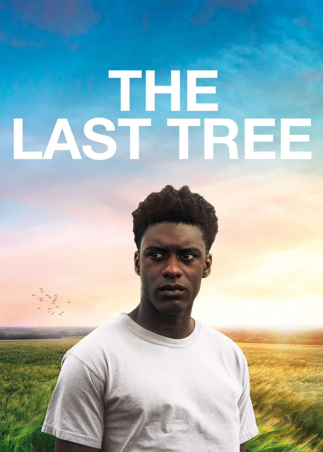 Xem Phim The Last Tree (The Last Tree)