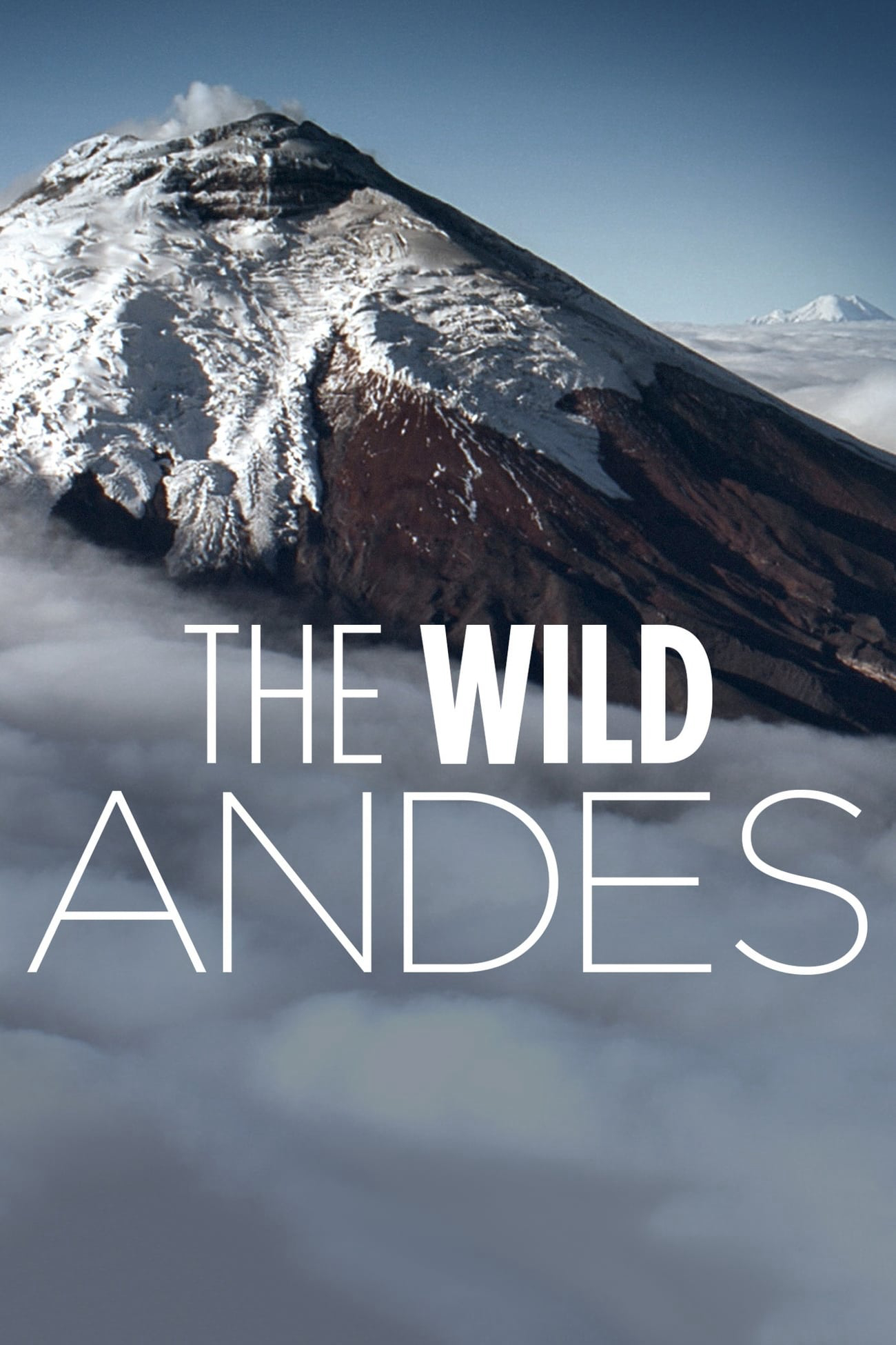 Poster Phim The Wild Andes (The Wild Andes)