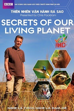 Poster Phim Thiên Nhiên Vận Hành Ra Sao (Secrets of Our Living Planet)