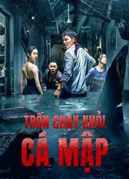 Xem Phim Trốn Chạy Khỏi Cá Mập (Escape of Shark)