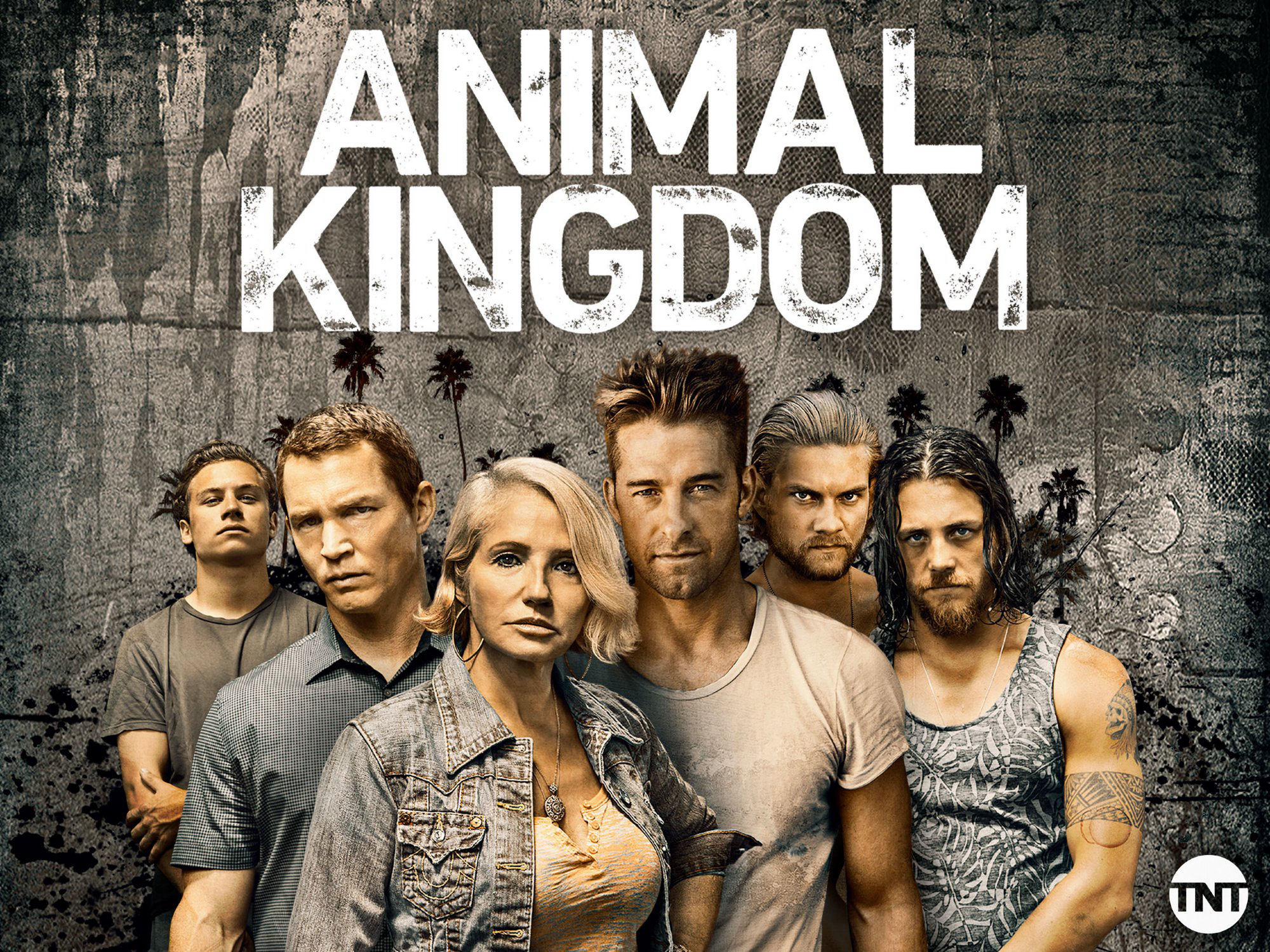 Xem Phim Vương Quốc Động Vật Phần 1 (Animal Kingdom Season 1)