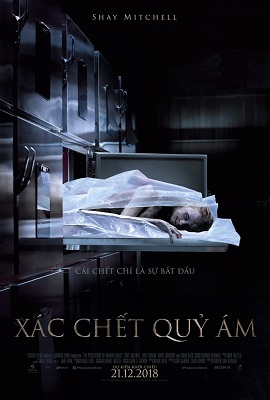 Poster Phim Xác Chết Quỷ Ám (The Possession of Hannah Grace)