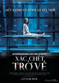 Poster Phim Xác Chết Trở Về (The Vanished / Vanished Night)